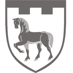 Шеврон — 111 окрема бригада ТрО