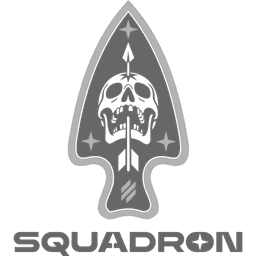 Шеврон — Дивізіон перехоплювачів БПЛА «SQUADRON» 1030 ЗРАП